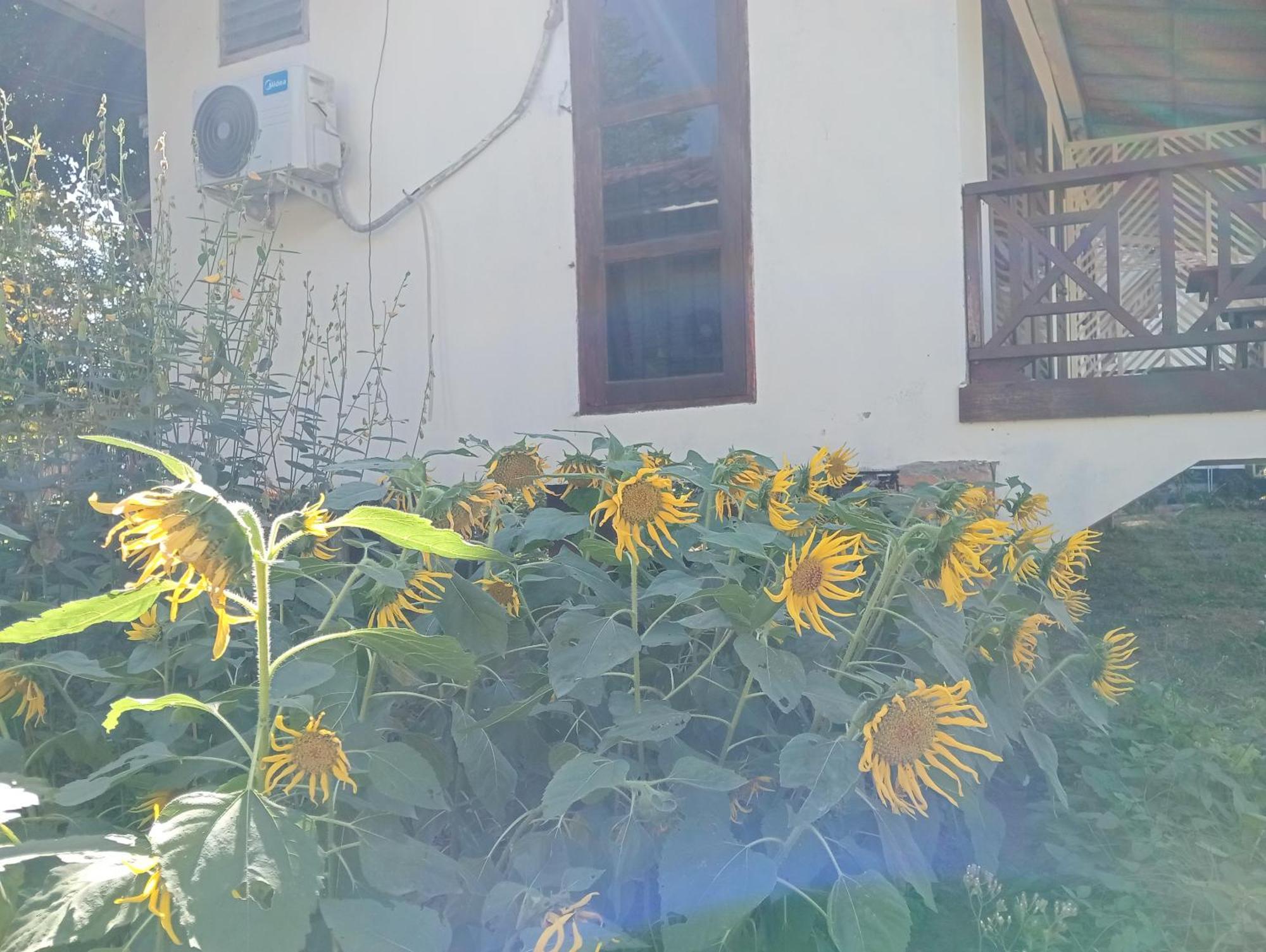 Vangvieng Ruby'Homestay Ванг-Виенг Экстерьер фото