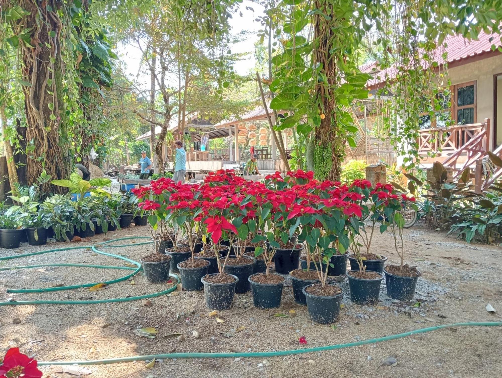 Vangvieng Ruby'Homestay Ванг-Виенг Экстерьер фото